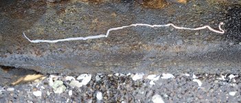 IMG_0314.jpeg