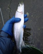 IMG_0311.jpeg
