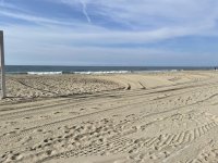 IMG_4902.jpg IMG_4902.jpg