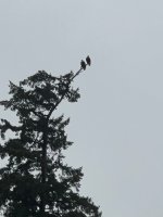 IMG_0320.jpeg