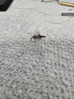 20250106_165109.jpg