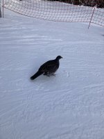 IMG_4714.jpeg
