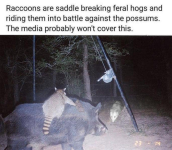 1736362169683.png 1736362169683.png