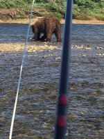 IMG_8353.jpeg IMG_8353.jpeg