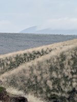 IMG_0151.jpeg