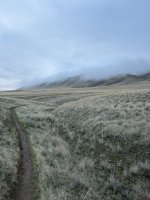 IMG_0148.jpeg