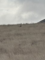IMG_0147.jpeg