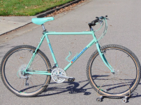 Bianchi Grizzly 22.png