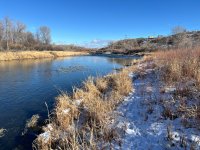IMG_3180.jpeg