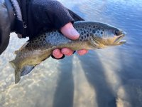 IMG_3189.jpeg