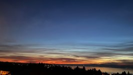 IMG_0381.jpeg
