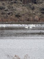 IMG_0156.jpeg