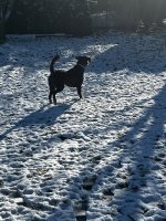 IMG_2620.jpeg