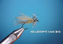 Hellekson's Yaak Bug.jpg