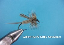 Lafontain's Grey Coughlin.jpg