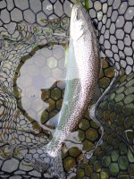 IMG_0412.jpeg