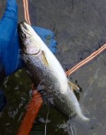 IMG_0413.jpeg