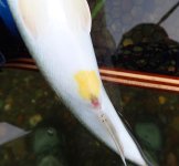 IMG_0414.jpeg