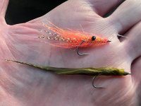 IMG_0396.jpeg