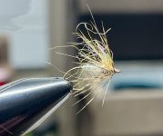 IMG_1342.jpeg