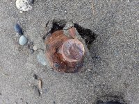 IMG_0448.jpeg