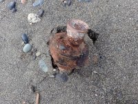 IMG_0447.jpeg