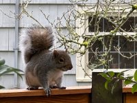 IMG_0463.jpeg