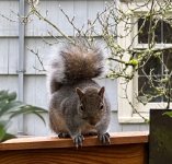 IMG_0465.jpeg