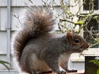 IMG_0466.jpeg