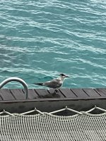 IMG_0024.jpeg