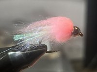 IMG_6010.jpeg