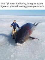 6784371540cd7.jpeg