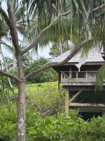 IMG_3044.jpeg