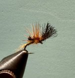 IMG_1348.jpeg