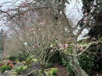 IMG_0493.jpeg