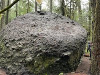 IMG_4111.jpeg