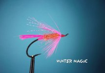 Winter Magic.jpg
