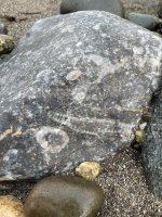 IMG_3305.jpeg