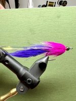 IMG_5793.jpeg