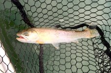 IMG_6649.jpeg IMG_6649.jpeg