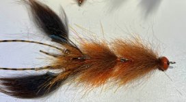 crawdaddy1.jpg