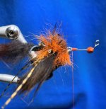 crawdaddy2.jpg