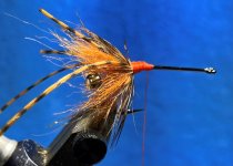 crawdaddy3.jpg