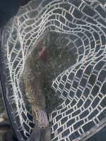 IMG_0320.jpeg