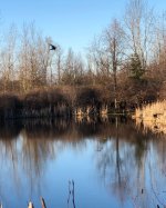 IMG_8648.jpeg