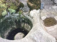 IMG_2264.jpeg IMG_2264.jpeg