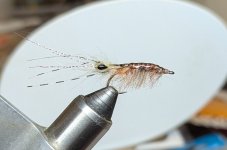 PXL_20250121_165814158.jpg PXL_20250121_165814158.jpg