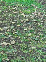 20250122_121844.jpg 20250122_121844.jpg