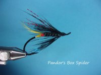 Pandor's Box Spider.jpg Pandor's Box Spider.jpg