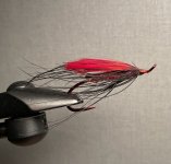 IMG_4157.jpeg IMG_4157.jpeg